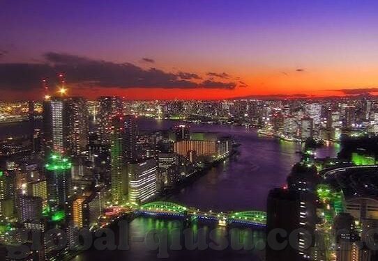 1998世界杯积分-1998世界杯积分，法国夺冠之路的辉煌篇章