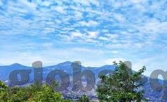 凤凰足球比分直播-凤凰足球比分直播，球迷的实时战场，激情与数据的交响曲