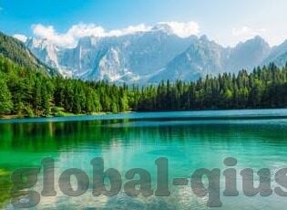 世界杯小组赛打假球-世界杯小组赛打假球，揭露与分析
