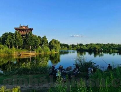 足球皇冠比分-足球皇冠比分，绿茵场上的数字交响曲